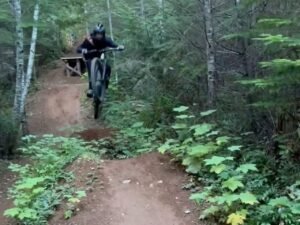 It’s not fear, but courage that leads the way